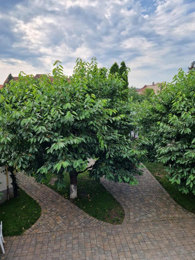 Atlantic Boutique Hotel Târgu-Mureş Eksteriør billede