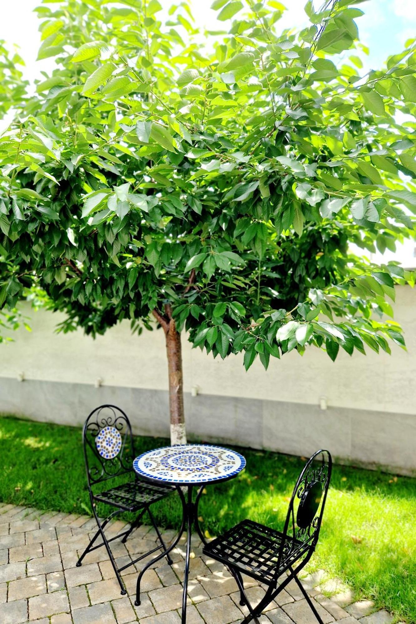 Atlantic Boutique Hotel Târgu-Mureş Eksteriør billede